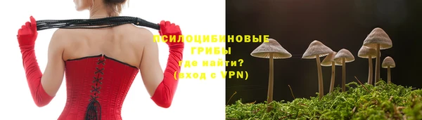 амф Алзамай